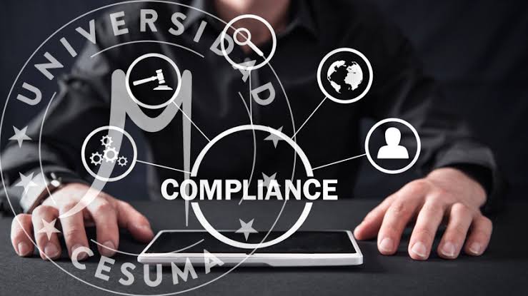 whatsapp image 2025 08 30 at 13.24.55 140abcb4